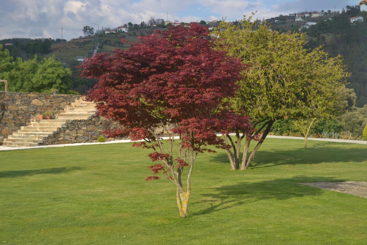 Quinta Da Portelada Пезу-да-Регуа Екстер'єр фото