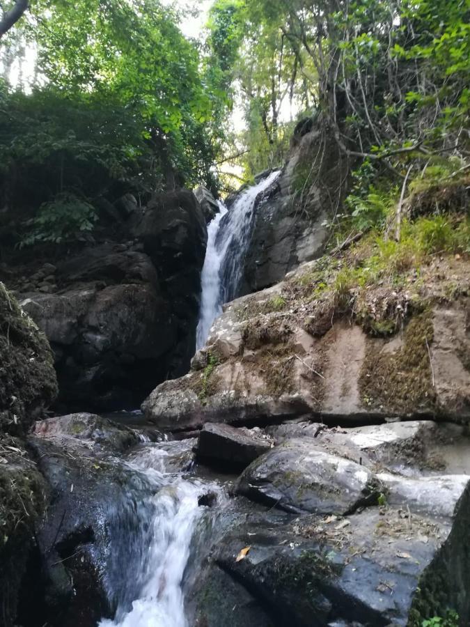 Quinta Da Portelada Пезу-да-Регуа Екстер'єр фото