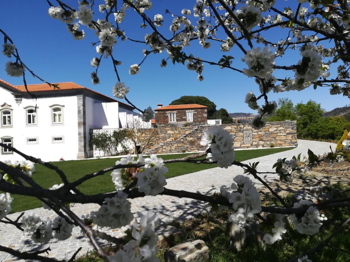 Quinta Da Portelada Пезу-да-Регуа Екстер'єр фото