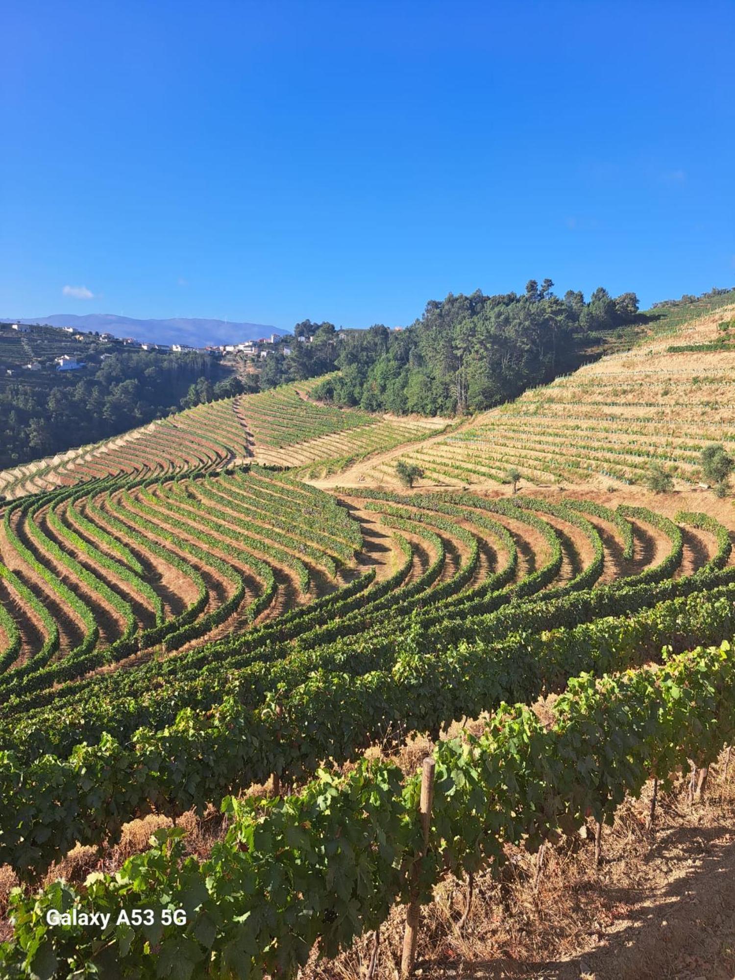 Quinta Da Portelada Пезу-да-Регуа Екстер'єр фото