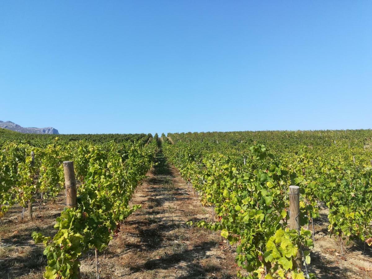 Quinta Da Portelada Пезу-да-Регуа Екстер'єр фото